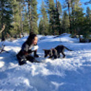 Meet your Posher, Perla